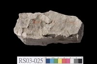 藏品(頁岩)的圖片